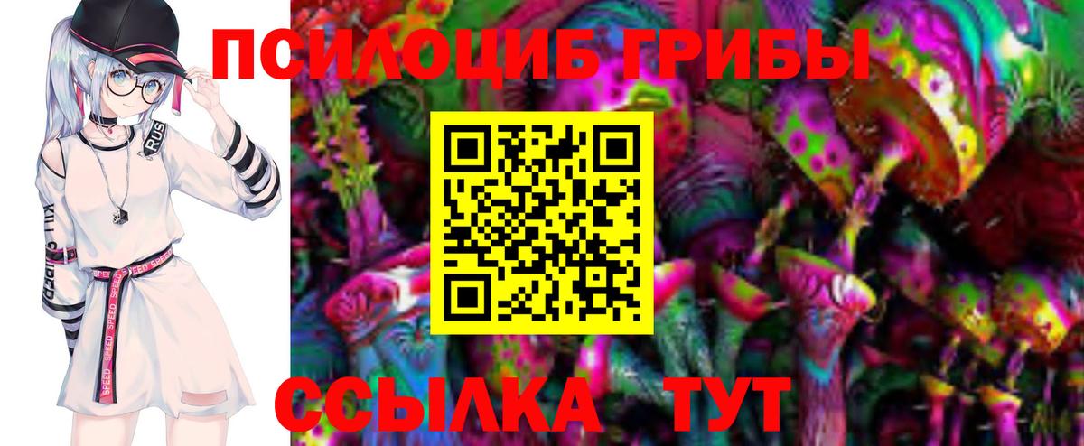 Псилоцибиновые грибы MAGIC MUSHROOMS  Вход с VPN  Малоярославец 